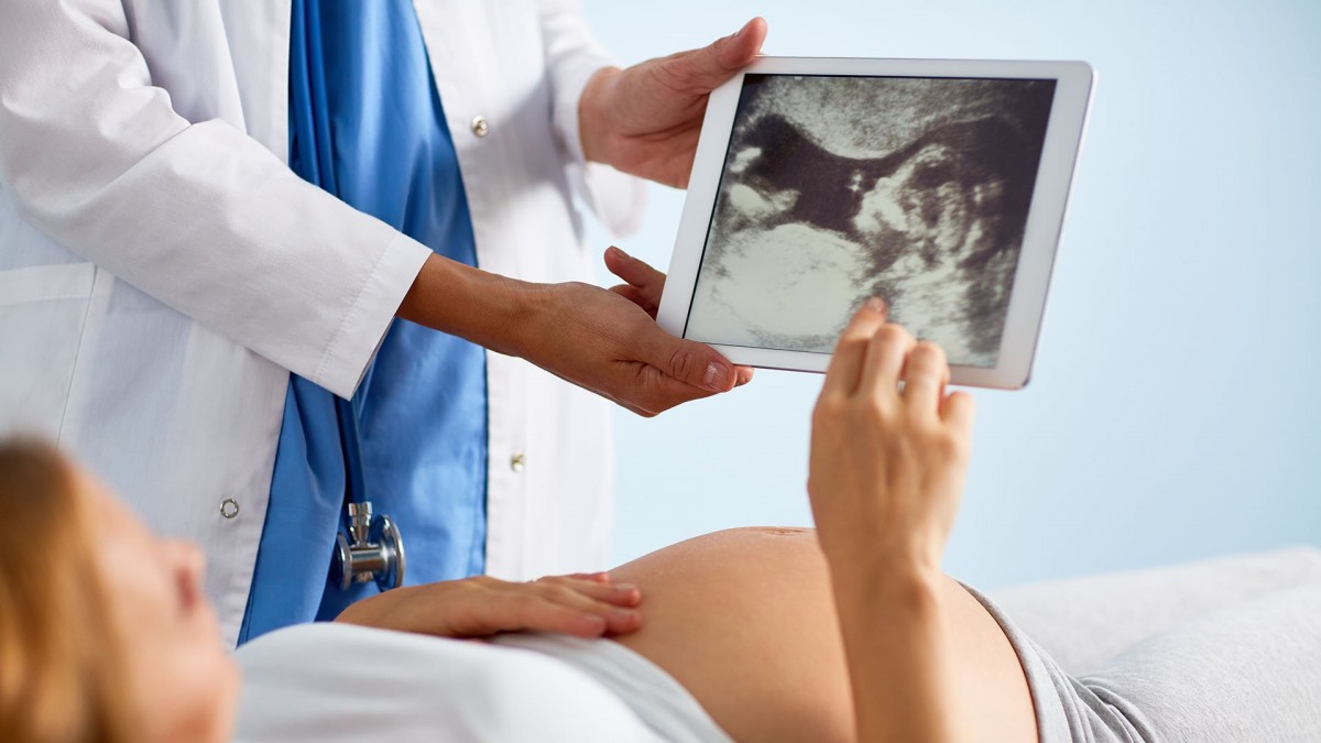 Protocolos de medicina fetal: Guía para el cuidado prenatal