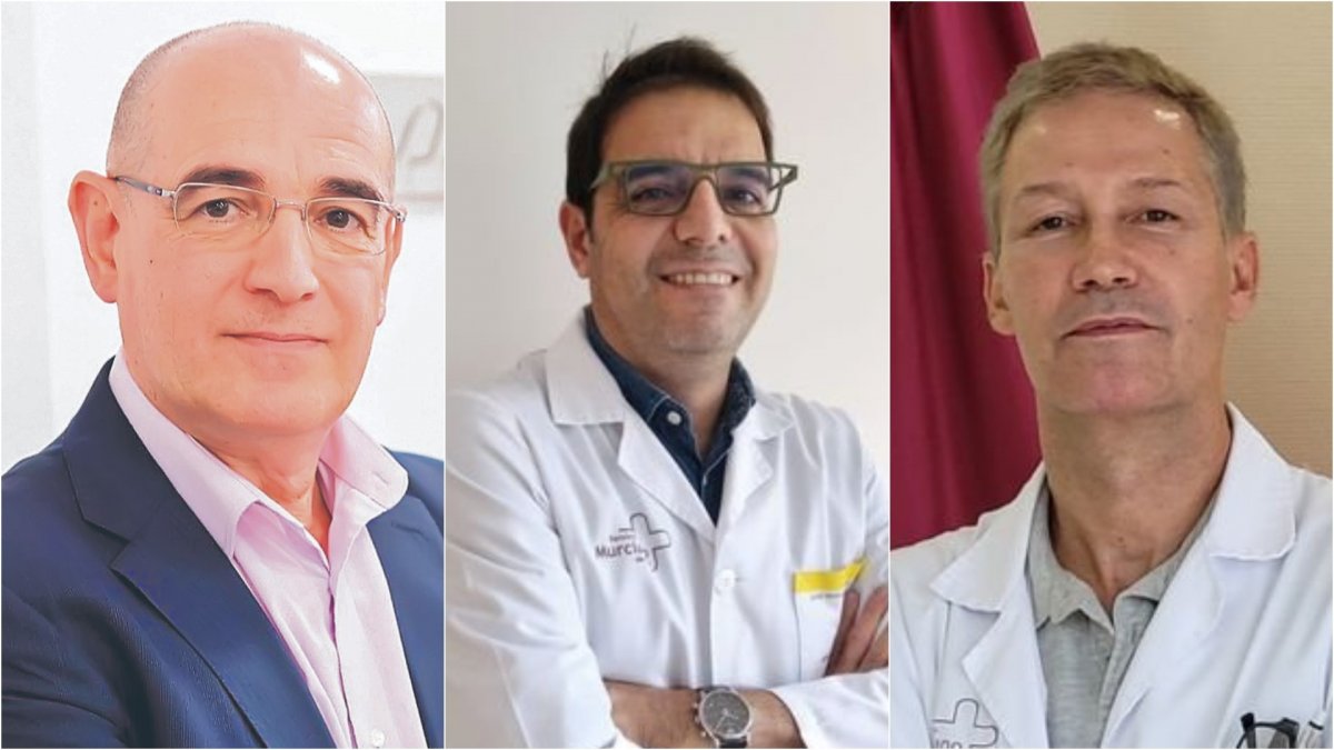 áreas de salud de Murcia