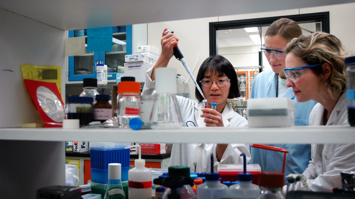 Qué es la biomedicina: definición, áreas y salidas profesionales