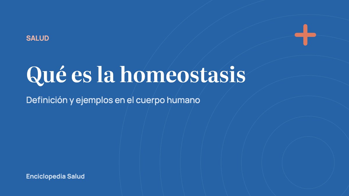 Qué es la homeostasis: definición y ejemplos en el cuerpo humano